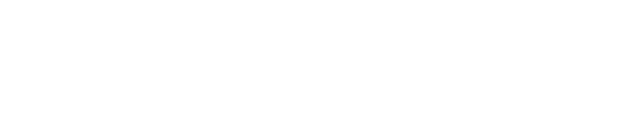 PRM Positive Role Model